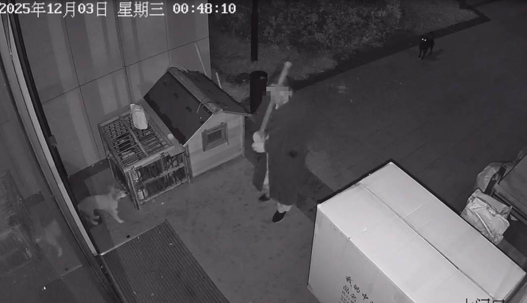 杭州园区保安深夜暴力对待宠物狗致死事件，当事人被开除，警方介入调查