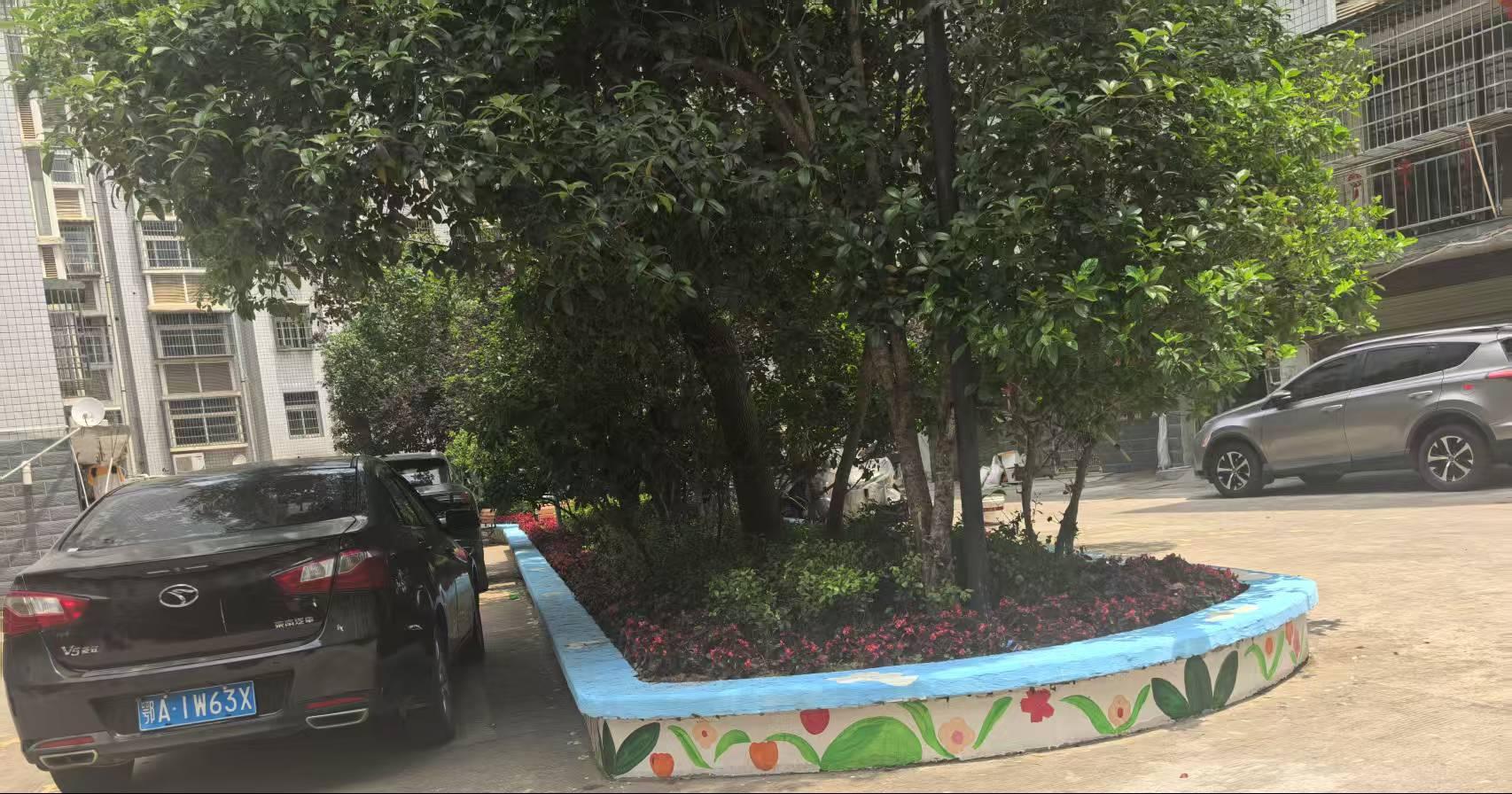 图片13.png 图片13.png