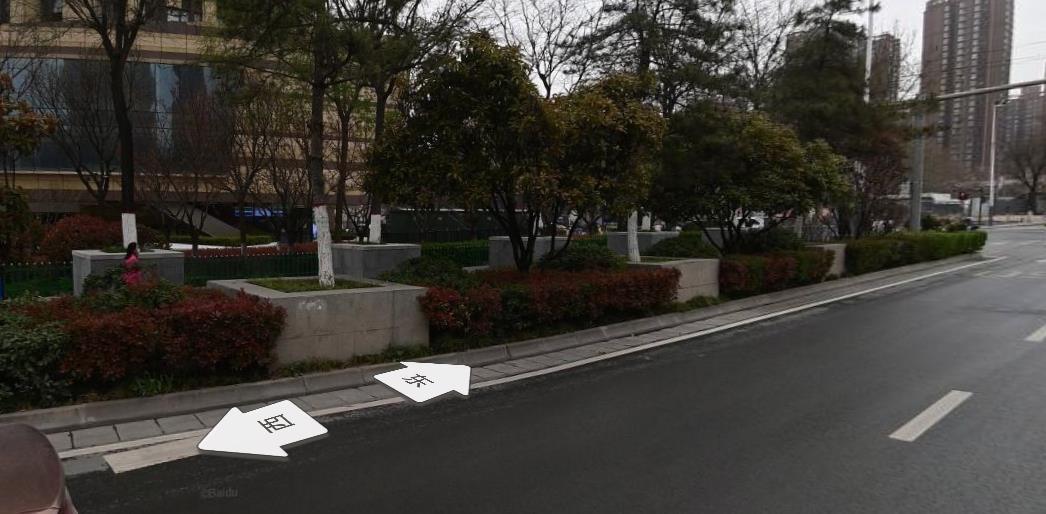 西安行道树树池加固修复,水泥砌墙围树引争议,绿化部门回应下方管道涵沟防塌陷举措