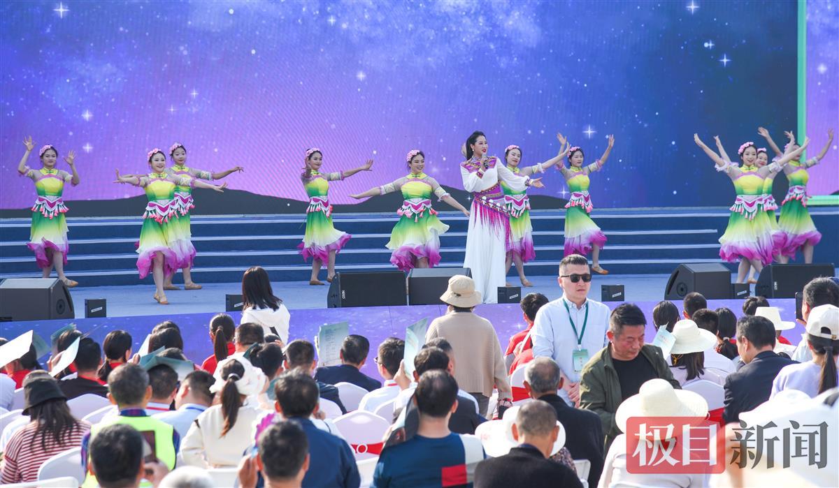 “村村有歌·唱响湖北”监利田园歌会在程集古镇盛大举行。（极目新闻记者 黄志刚 摄） (12).JPG