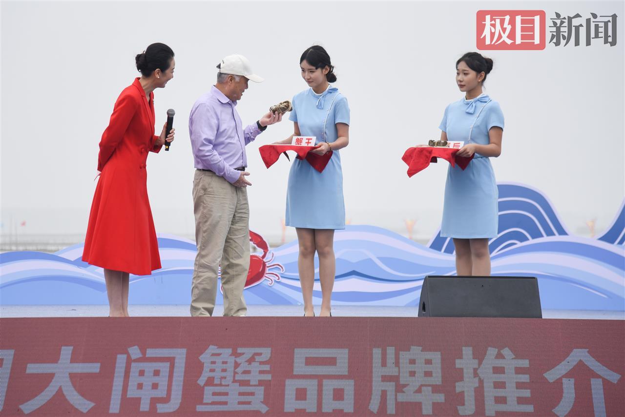 10月8日，“生态公安·蟹耀未来”湖北·公安2025陆逊湖大闸蟹品牌推介会现场，中国渔业协会水产商贸分会荣誉会长杨维龙（左二）现场品鉴陆逊湖大闸蟹（极目新闻记者 黄志刚 摄）.jpg