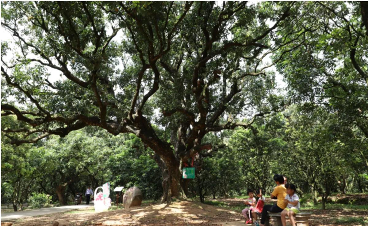 57b63bb6-9855-45d6-8d89-9e8cc2099e42.png 57b63bb6-9855-45d6-8d89-9e8cc2099e42.png