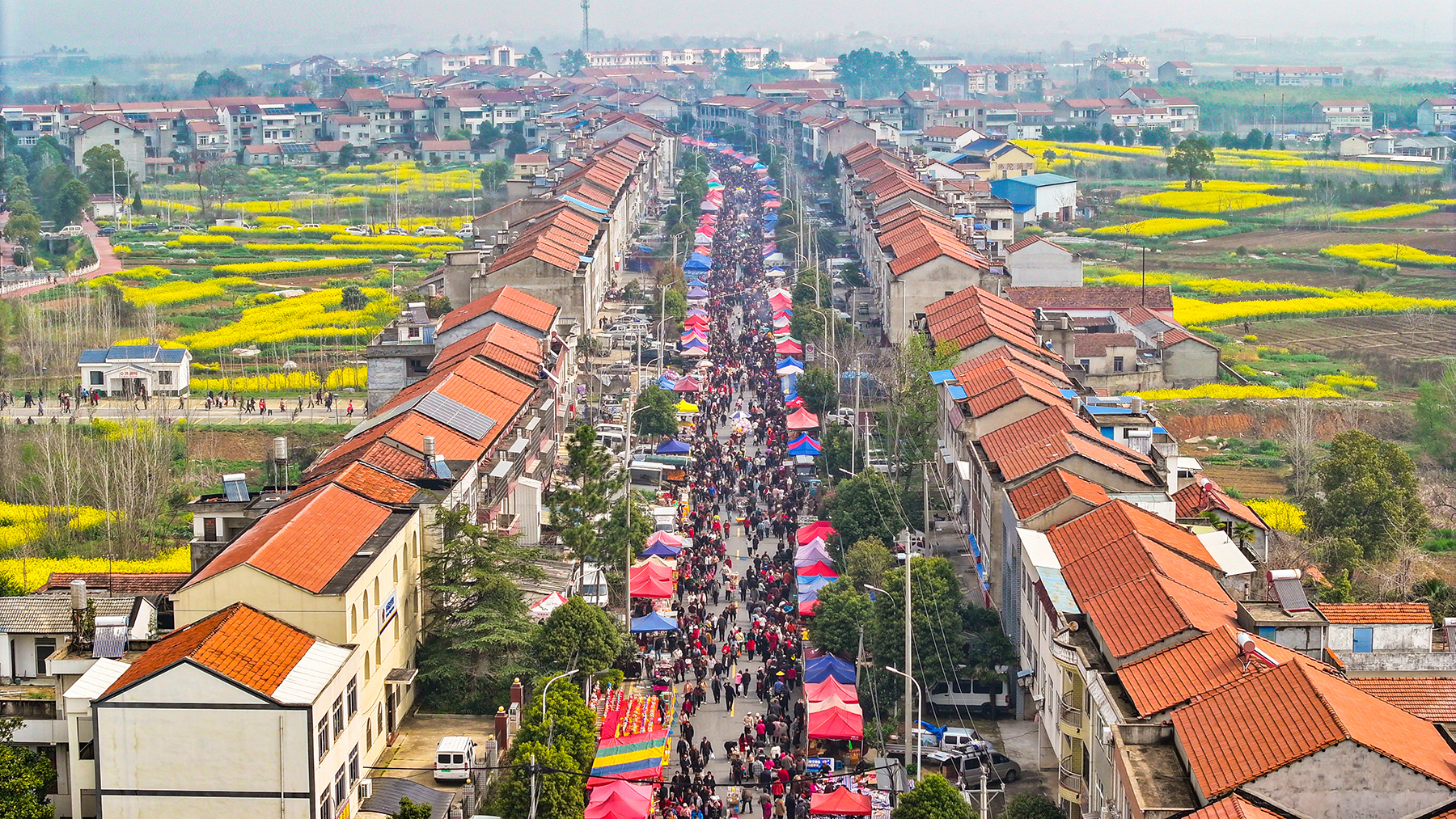 DJI_20260325101448_0589_D.jpg DJI_20260325101448_0589_D.jpg