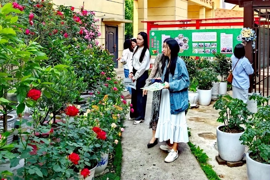 共享花园.jpg 共享花园.jpg