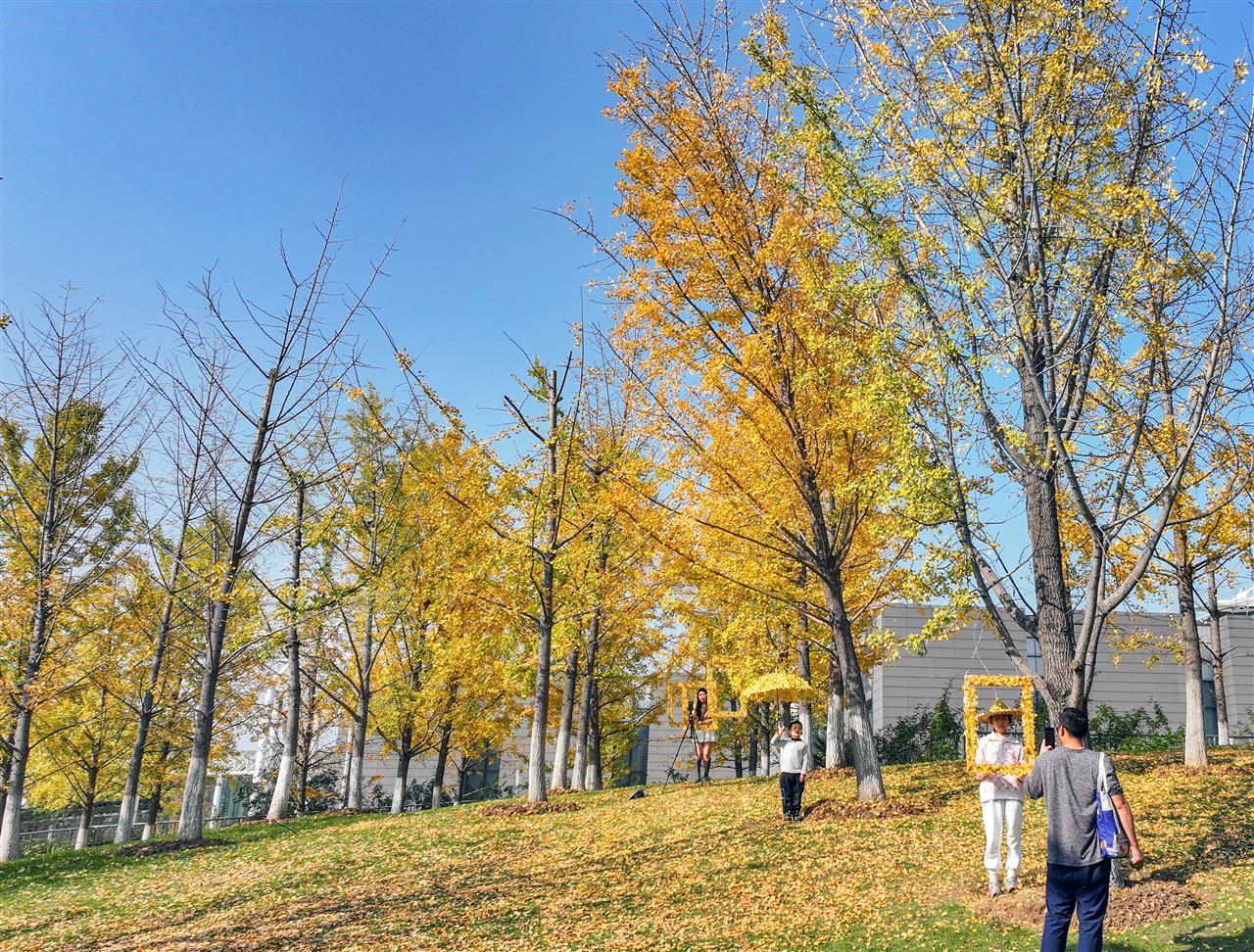 lh25111501.jpg lh25111501.jpg