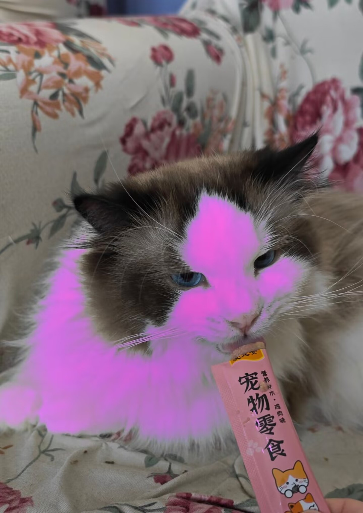 B62F6C0F17CC7D6B46F6D1DB3793EEFD.png