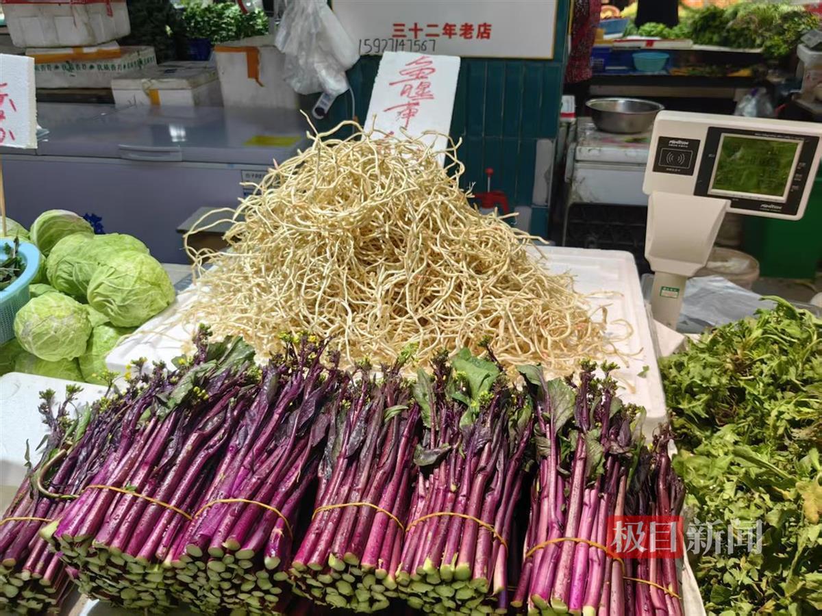 79ac074b7436e769cce50f14531a032a_pub_cb202502241517468674197ri7.jpg 79ac074b7436e769cce50f14531a032a_pub_cb202502241517468674197ri7.jpg