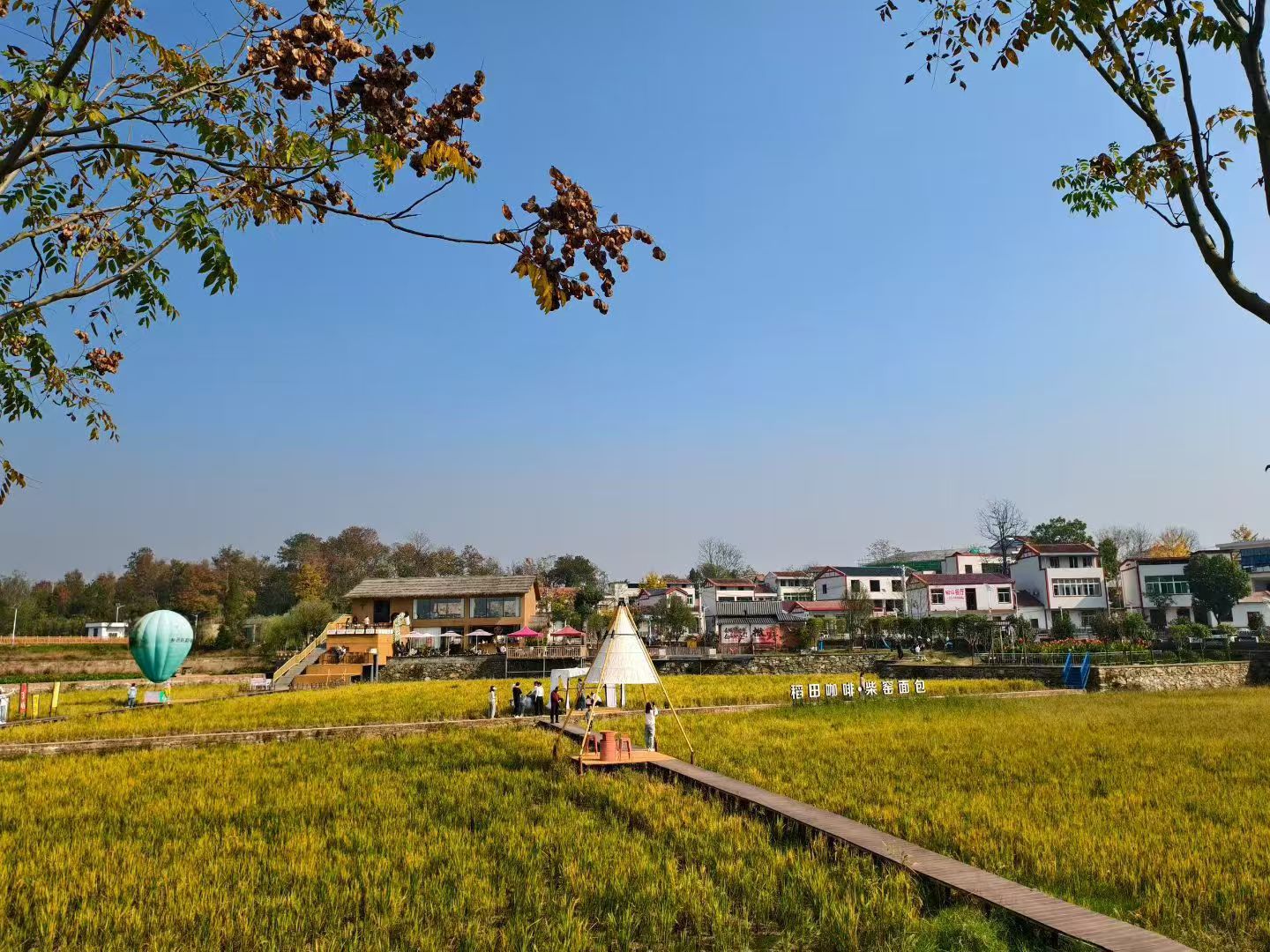 黄陂稻田咖啡.jpg