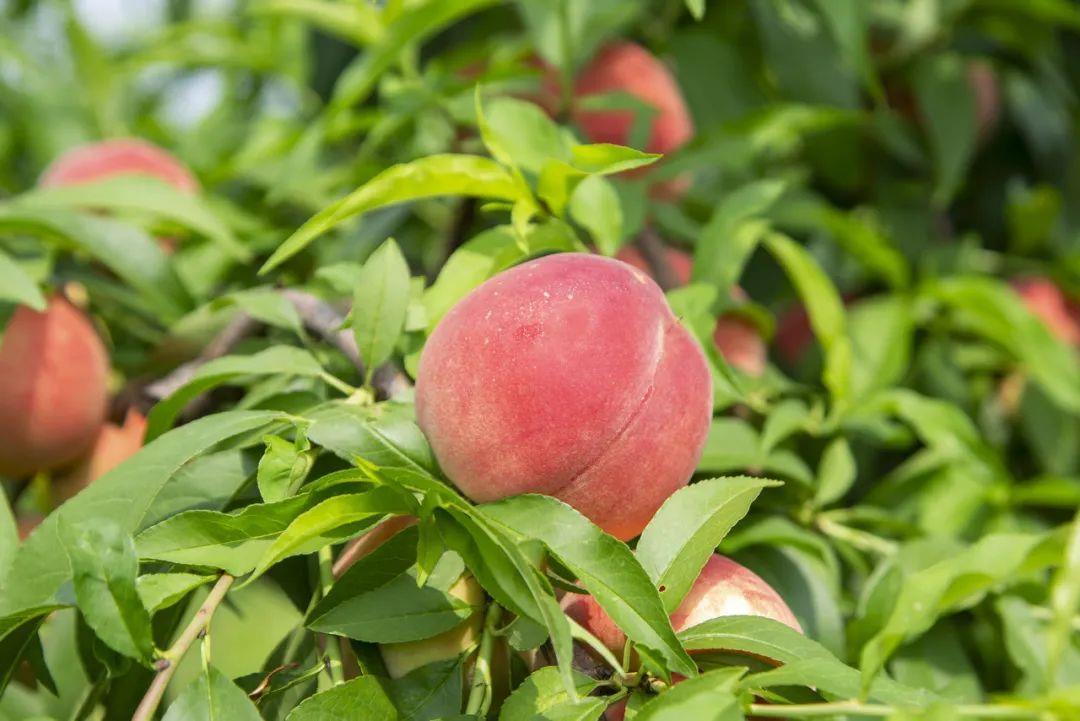 640 (3).jpg 640 (3).jpg