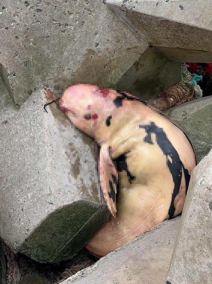 QQ20251006-192609.png QQ20251006-192609.png