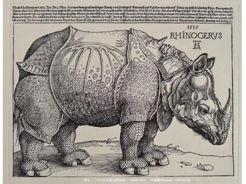 5《犀牛》丢勒绘制（1515年）印制（1898年）32×25.5cm 木版画.png