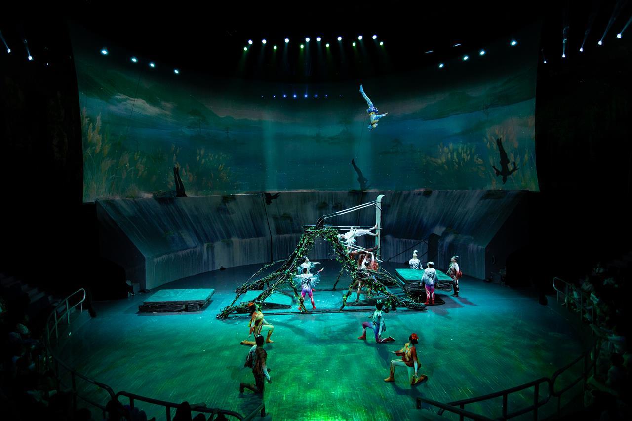 IMG_0661.jpg IMG_0661.jpg