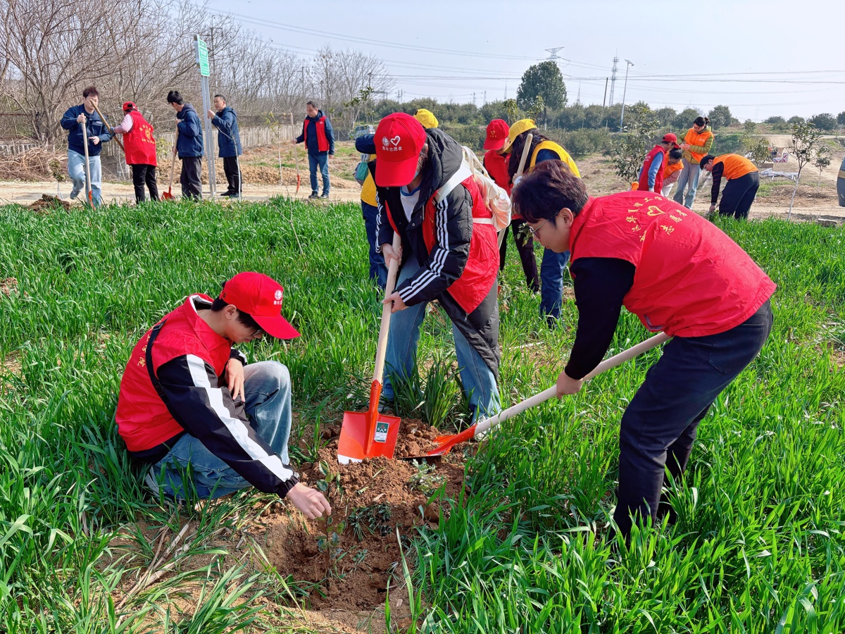 植树1.jpg 植树1.jpg