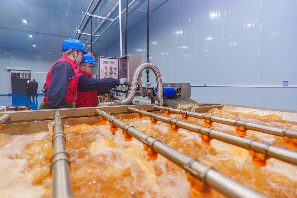 2026年02月03日,武汉供电公司员工肖铁 黄胜刚服务水产冷链企业-9.jpg 2026年02月03日,武汉供电公司员工肖铁 黄胜刚服务水产冷链企业-9.jpg