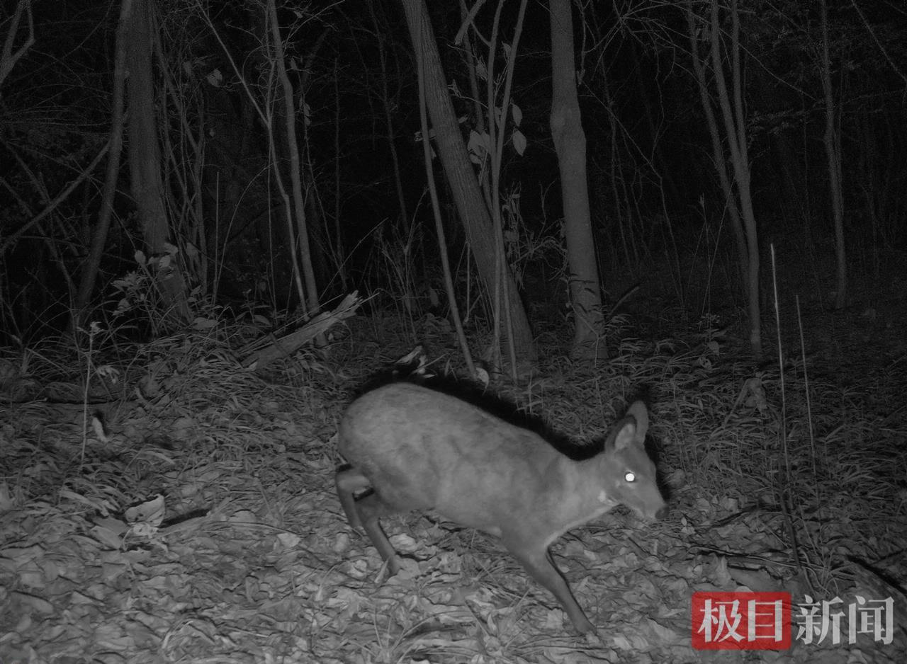 图片1.png 图片1.png