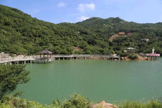 潮南雷岭镇:民勤地美产业旺,乡村振兴画卷新 | 极目新闻