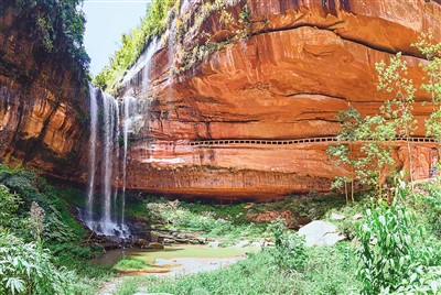 "桫椤世界"画稿溪 | 极目新闻