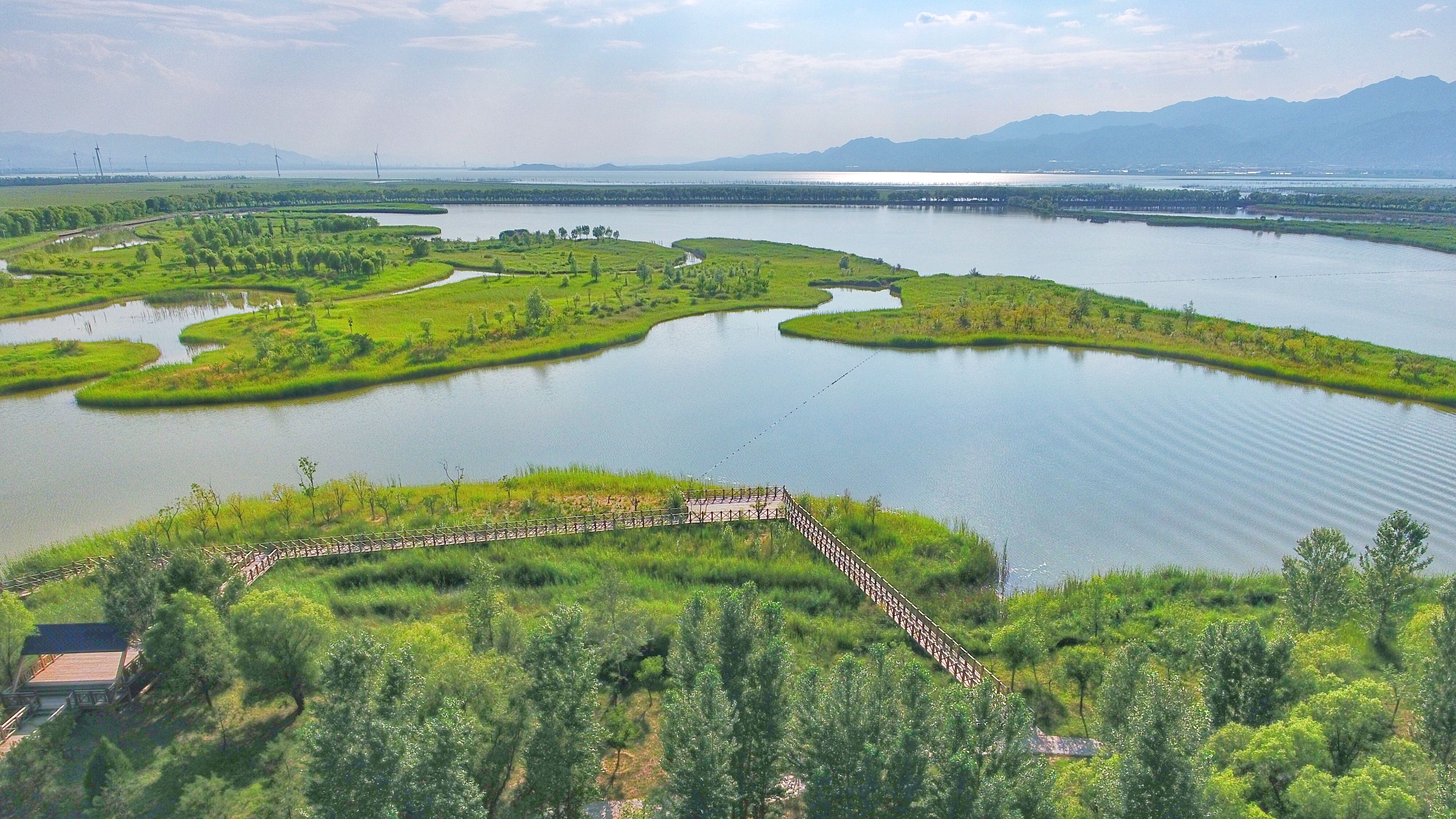 受访者供图北京延庆野鸭湖市级湿地自然保护区位于延庆区西北部,总