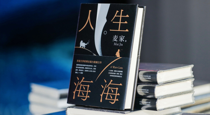 麦家:我一直在探索文学意义上的潮新闻 | 极目新闻