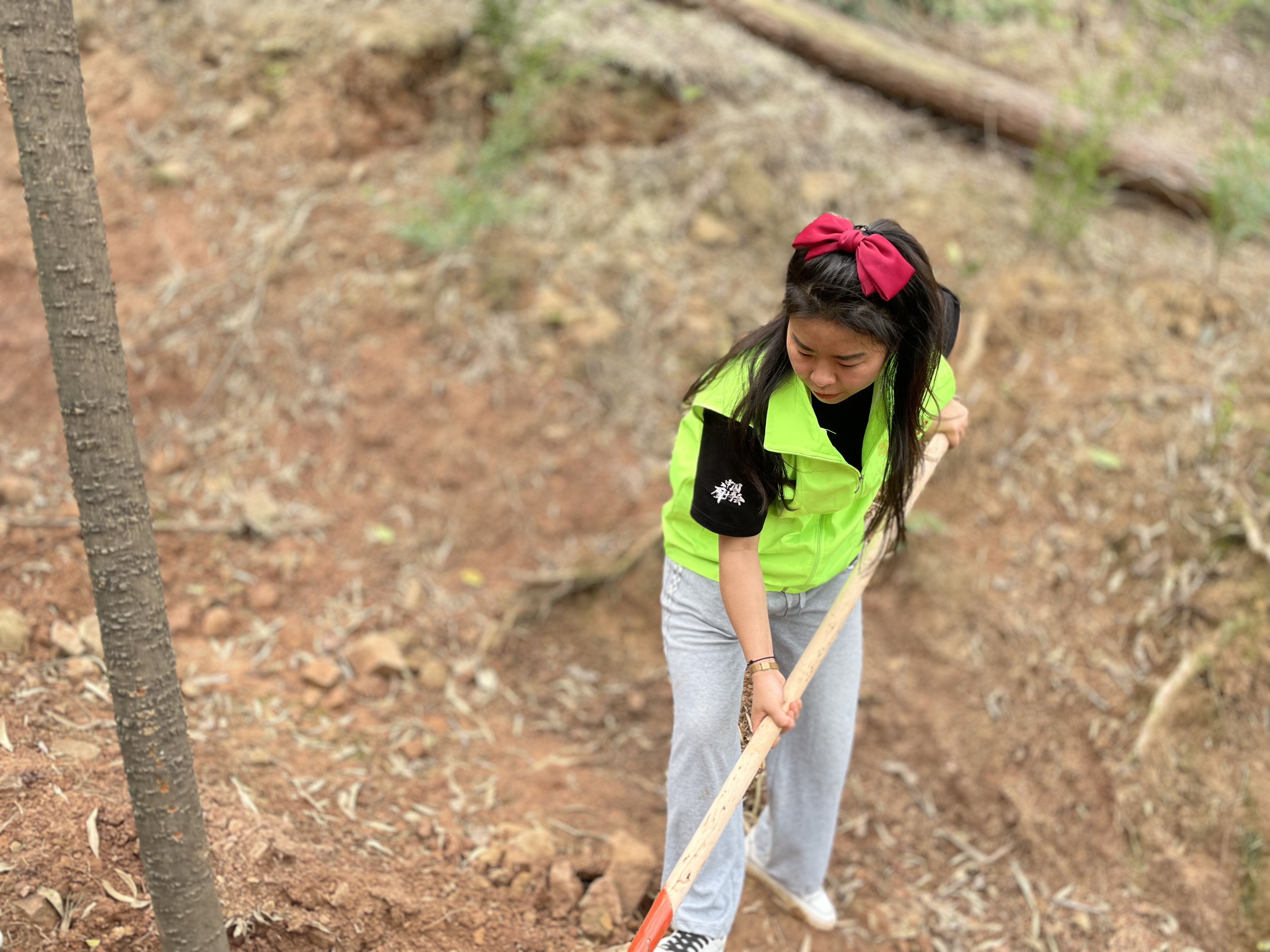 植树节前夕,重庆市民重上缙云山种树 | 极目新闻