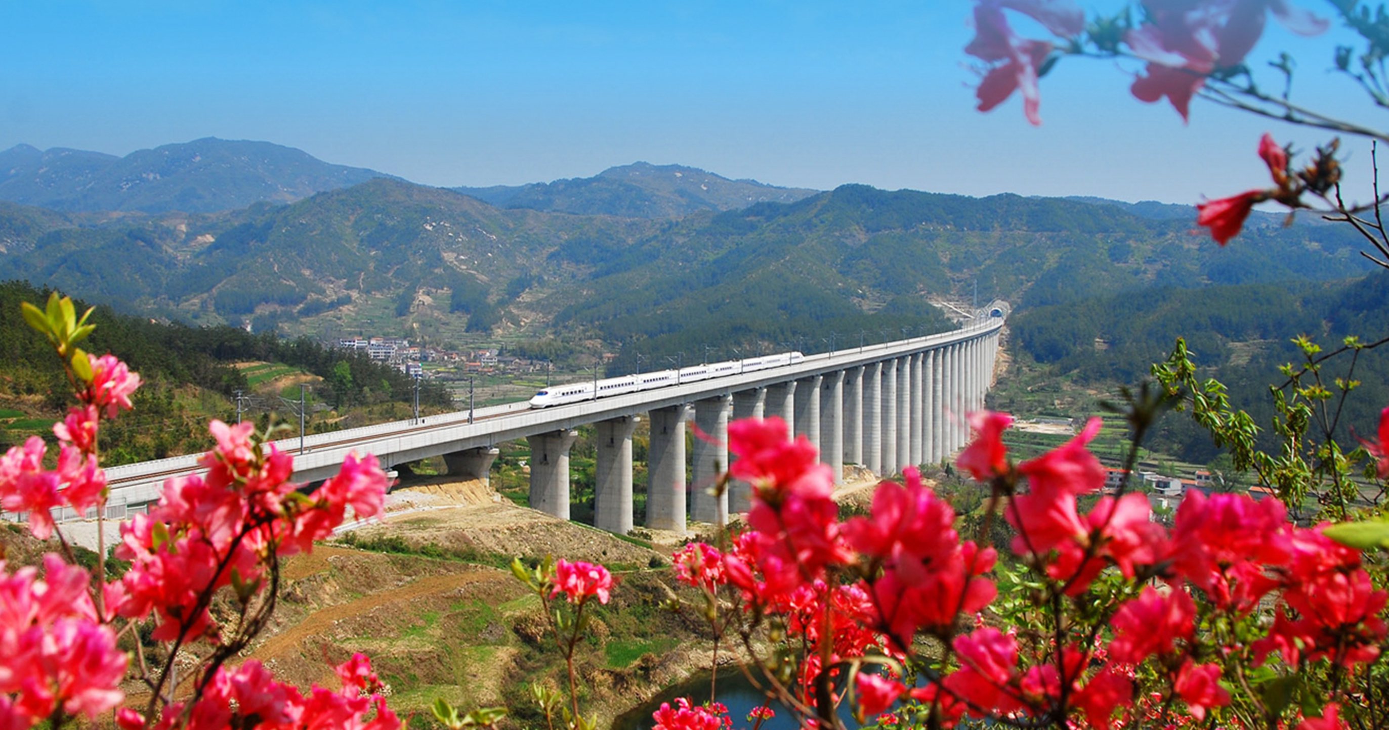 湖北麻城天气图片