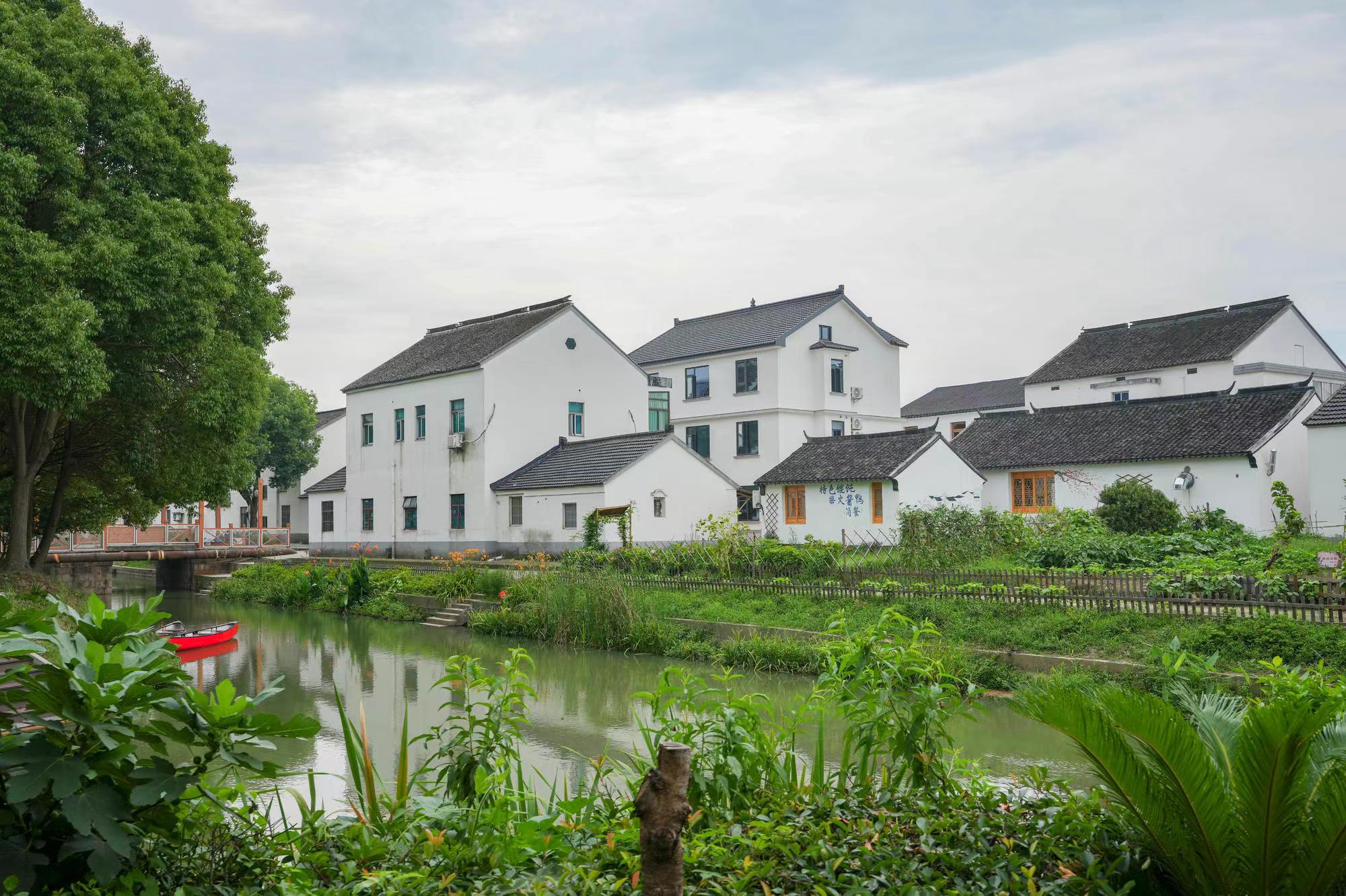 奋力绘就江南乡村诗意栖居和美画卷 | 极目新闻