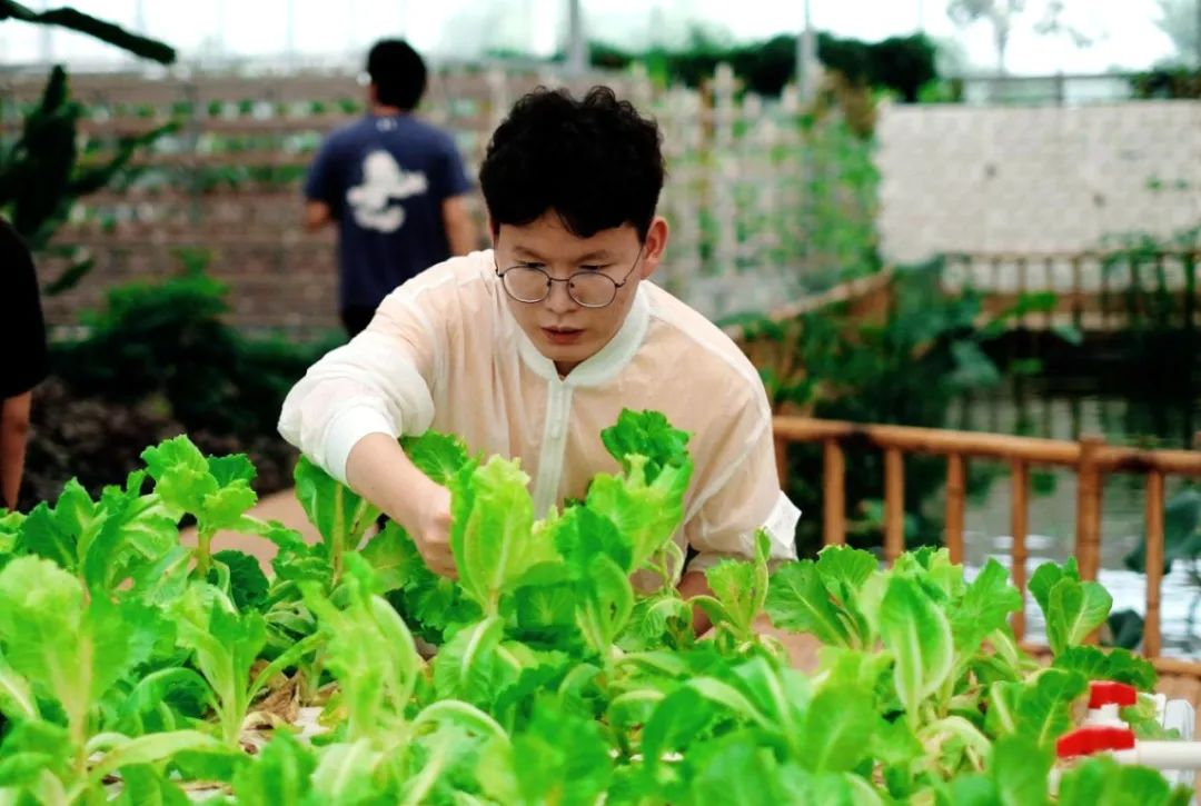 常州錄取分數線大學有哪些_常州本科院校錄取分數線_常州大學錄取分數線