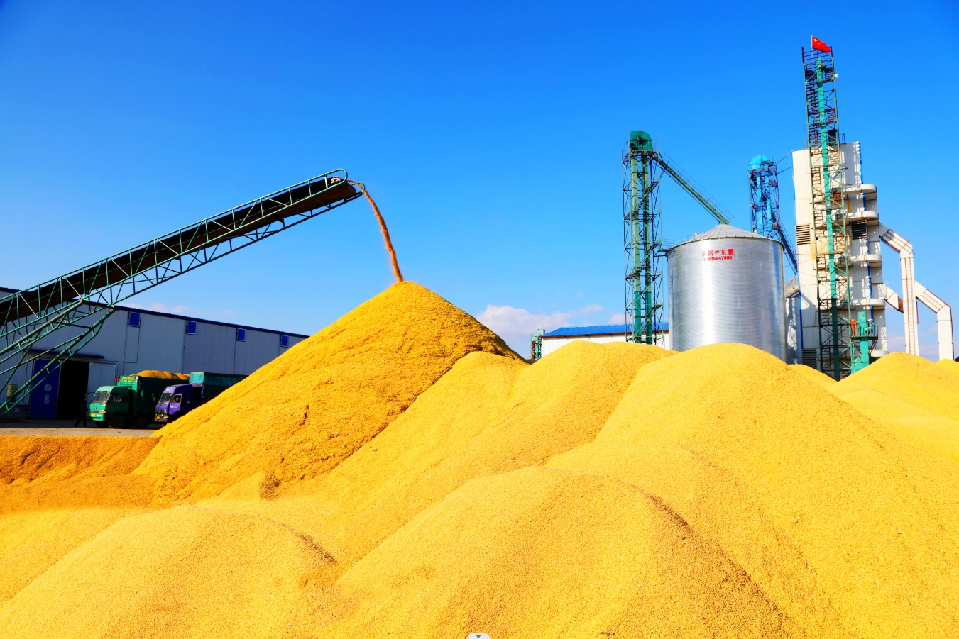 农业大省黑龙江秋收生产全面结束