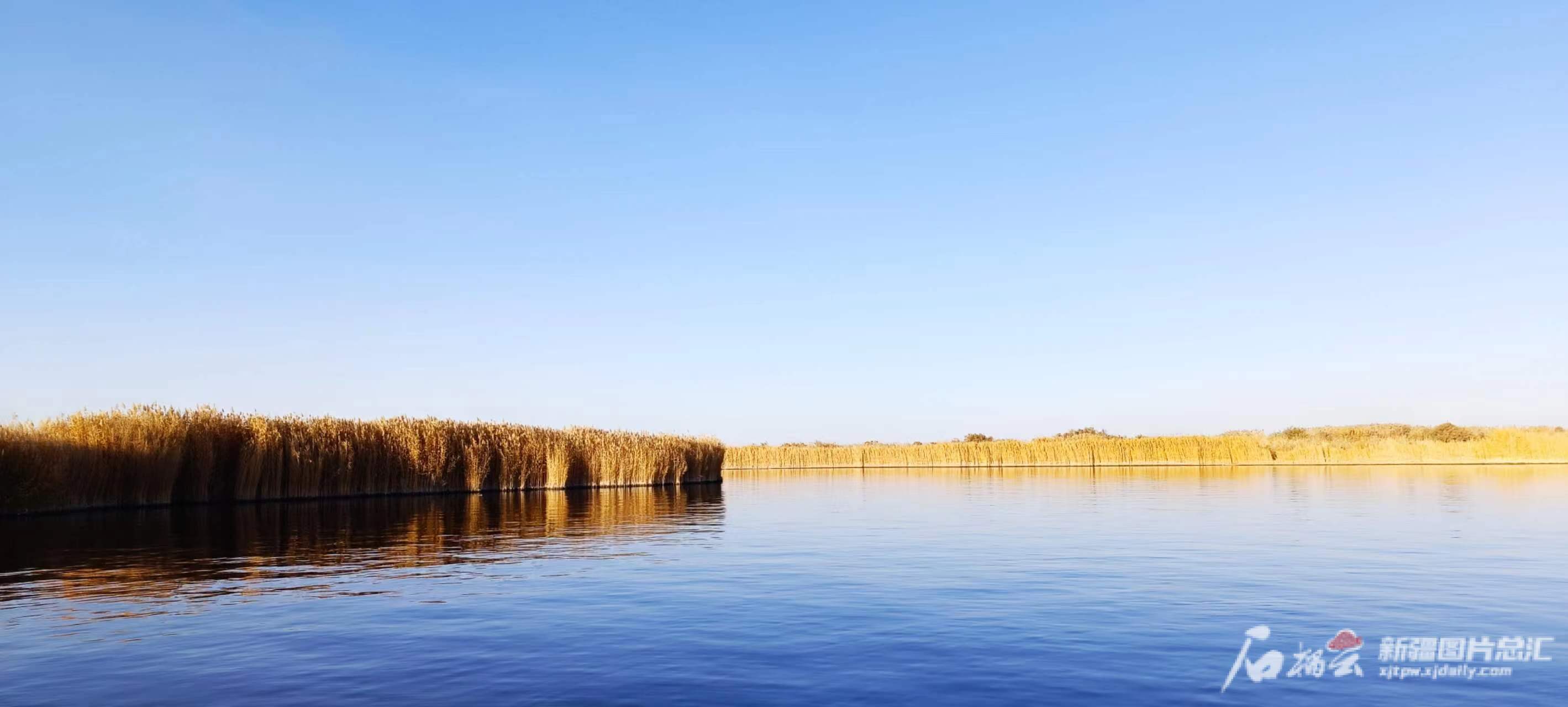 于田县龙湖旅游区:沙漠边缘水鸟飞 | 极目新闻