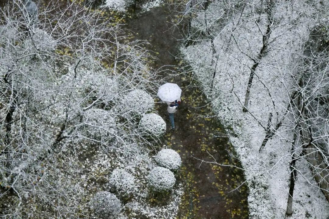 雨雪今天暂停,明天部分地区继续下 | 极目新闻