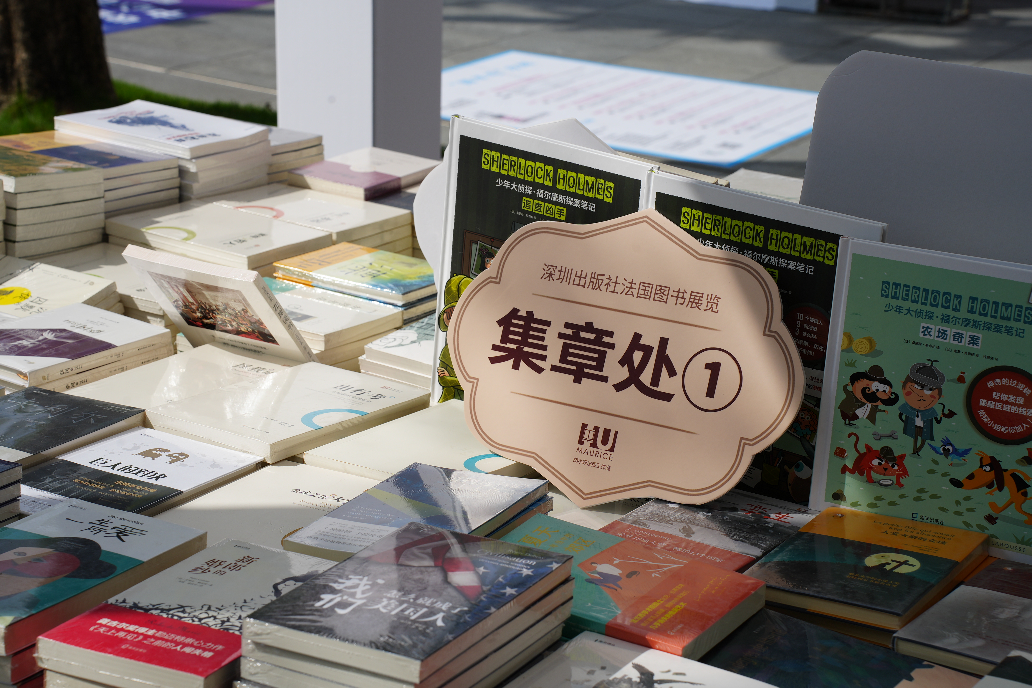 在蓝天下草地上办书展 第五届深圳书展11月10日开幕 | 极目新闻