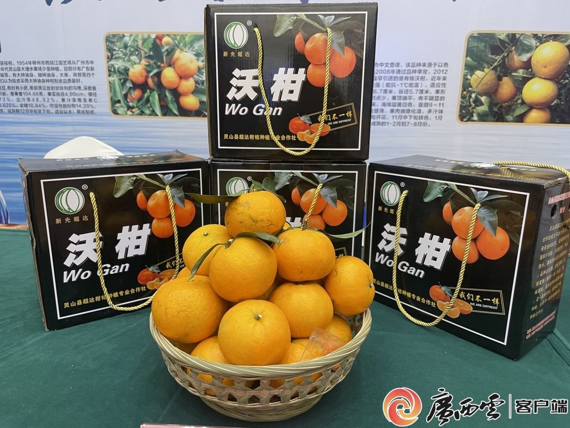 钦州柑橘产销对接活动签约5448万元 | 极目新闻