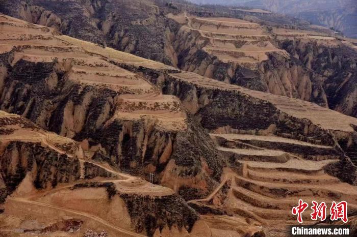 （乡村行·看振兴）山西石楼托管农田27万亩 零散“巴掌田”变整片“增收田” | 极目新闻