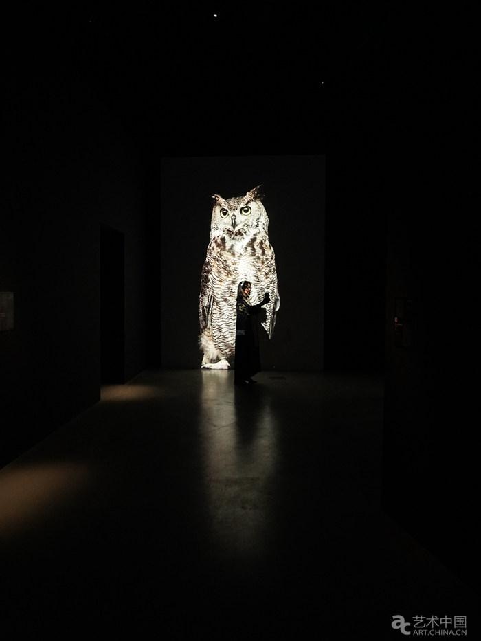 30位艺术家表现“夜色” 沙特首座当代艺术博物馆点亮艺术之光 | 极目新闻