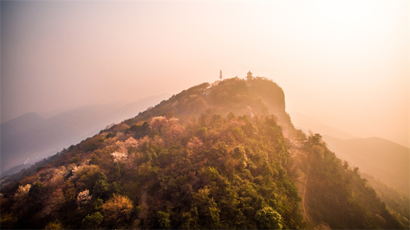 烂漫樱花醉美大盛来云龟山奔赴一场春日浪漫之约吧