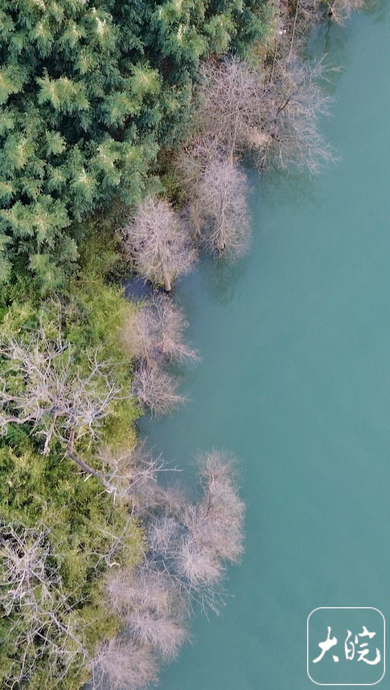 合肥春意盎然:夕阳下的董铺水库美如画