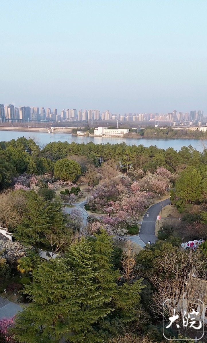 合肥春意盎然:夕阳下的董铺水库美如画