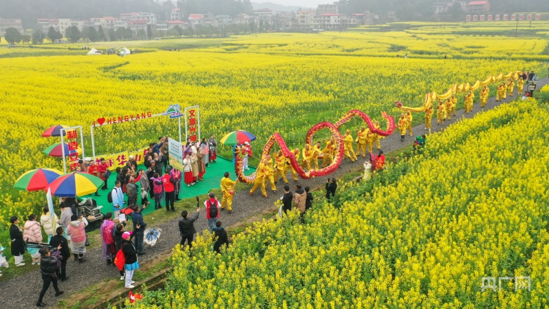 北联油菜花节图片