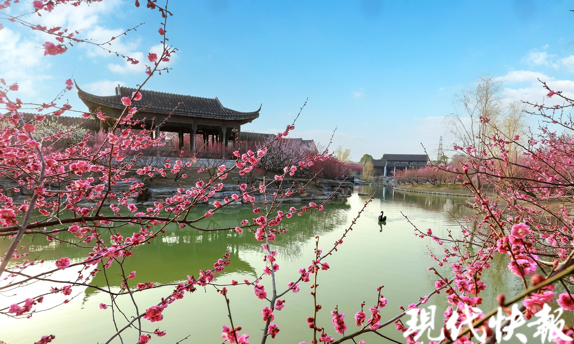 现代快报记者在现场看到,梅花湾书展现场游人涌动,不