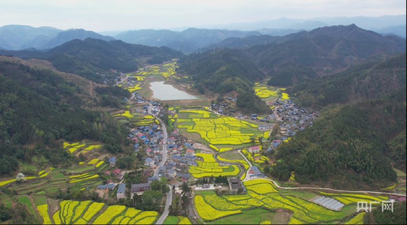 振兴湘村中方一村美变村村美