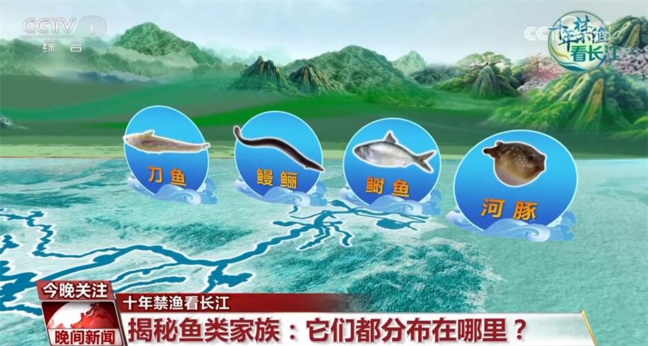 河口地区江海交汇,是刀鱼,鳗鲡,鲥鱼,河豚等鱼类洄游的重要通道