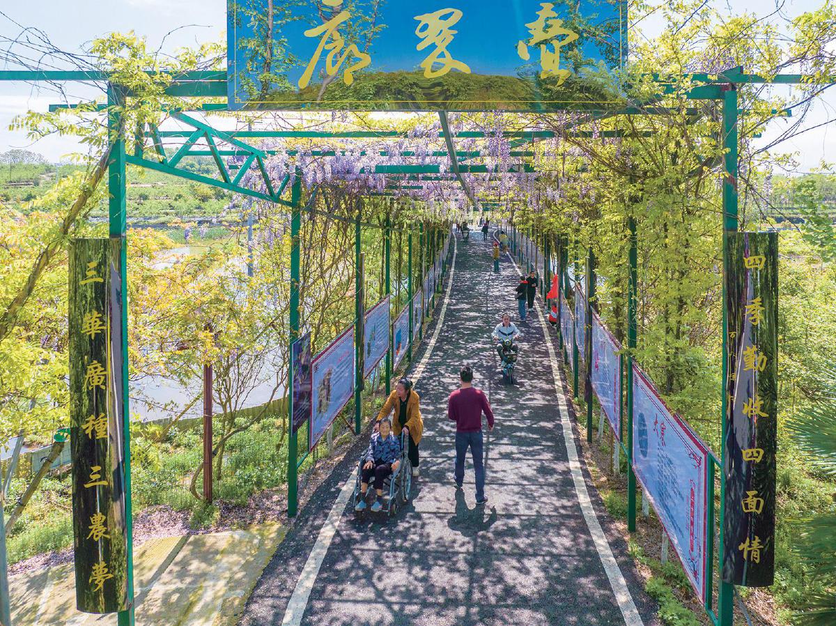 大冶首届紫藤花文化旅游节拉开大幕 | 极目新闻