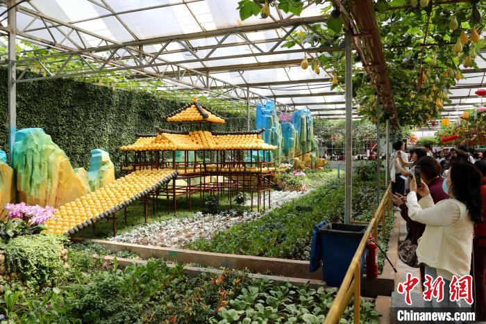 第二十五届中国(寿光)国际蔬菜科技博览会开幕