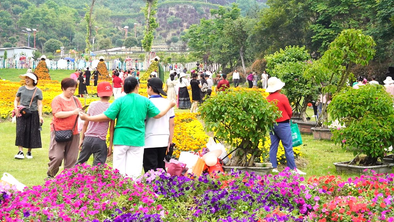 英山四季花海:花香阵阵游人醉 旅游经济热力足 极目新闻