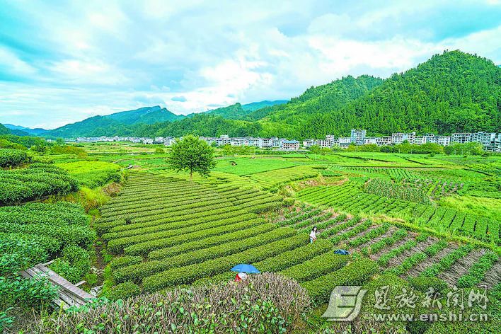 咸丰县高乐山镇:抓住党建引领“牛鼻子” 绘就乡村振兴新画卷 | 极目新闻