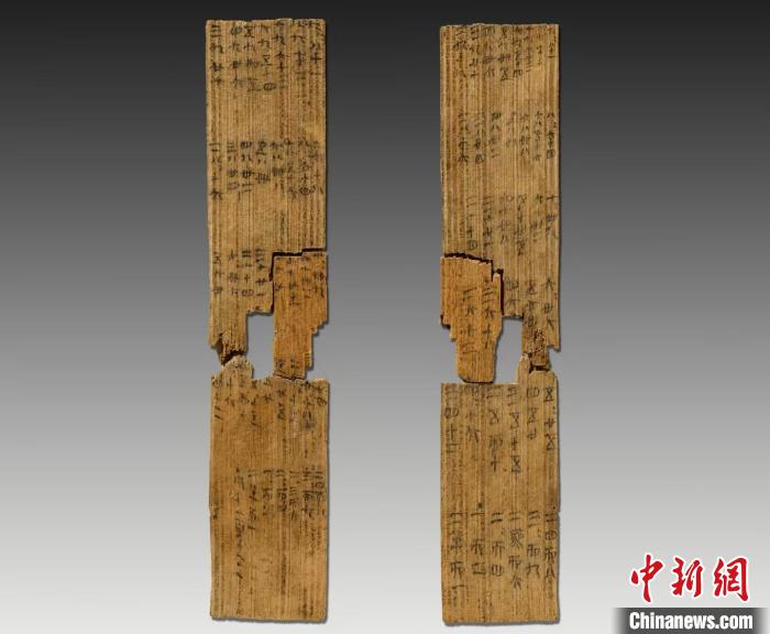 湖南省政协委员：深挖里耶秦简时代价值，让文物“活”起来 | 极目新闻